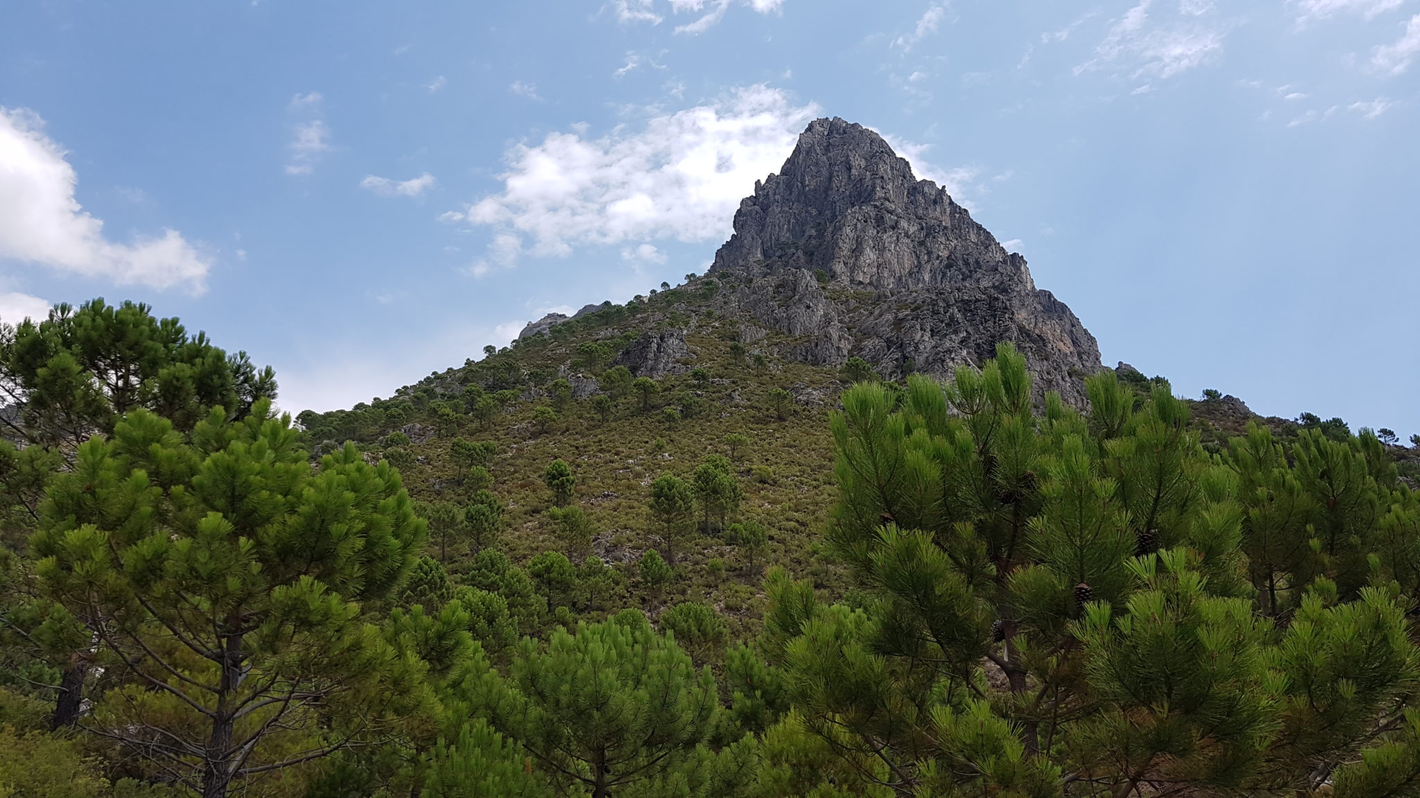 Ruta al Cerro Cisne