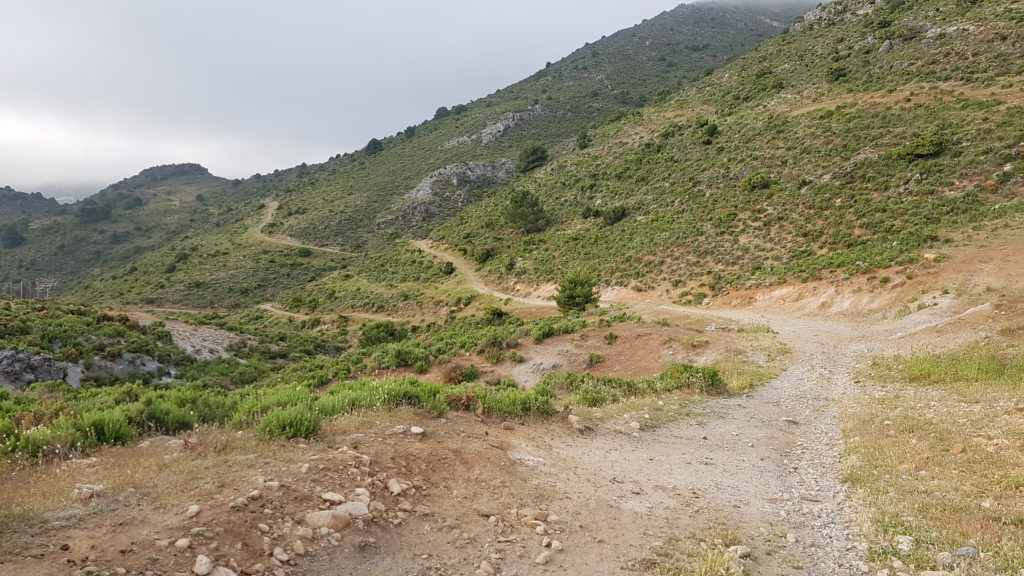 Ruta al Cerro del Lucero