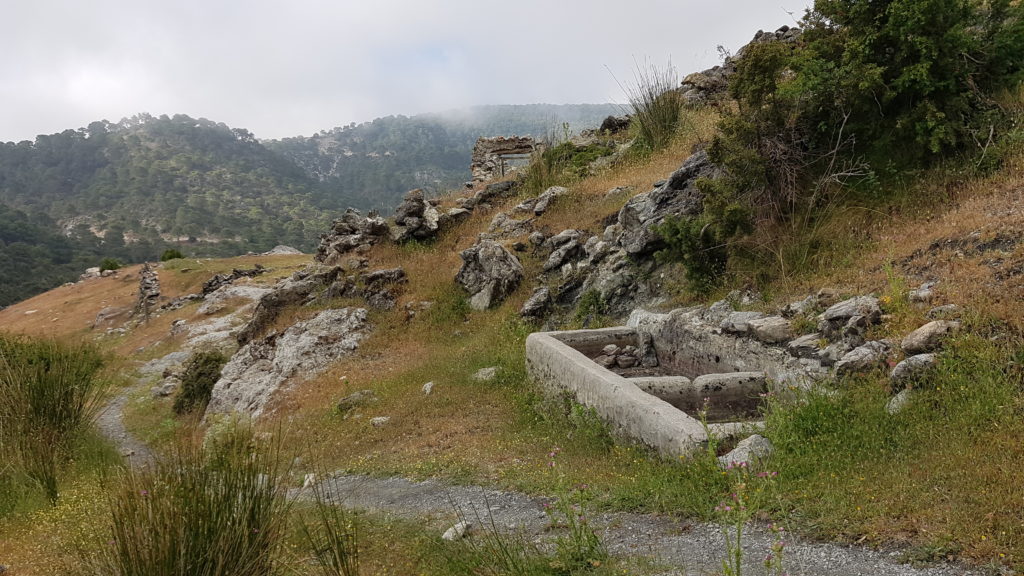 Ruta al Cerro del Lucero