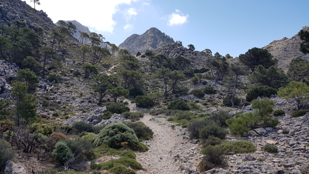 Ruta al Cerro del Lucero