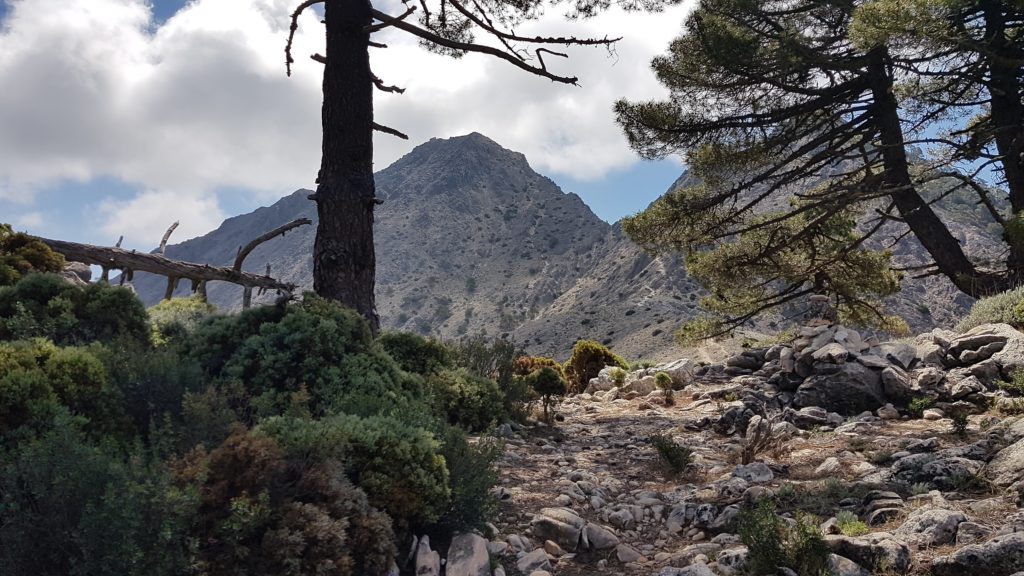 Ruta al Cerro del Lucero