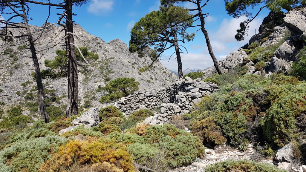 Ruta al Cerro del Lucero