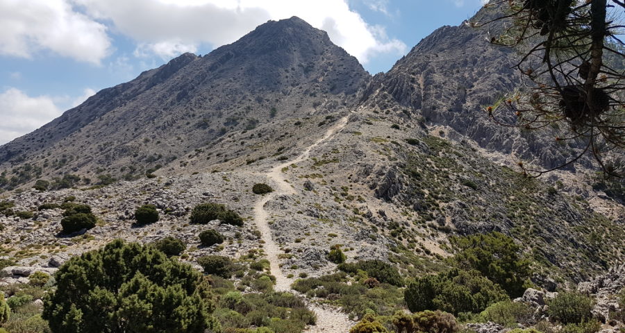 Ruta al Cerro del Lucero