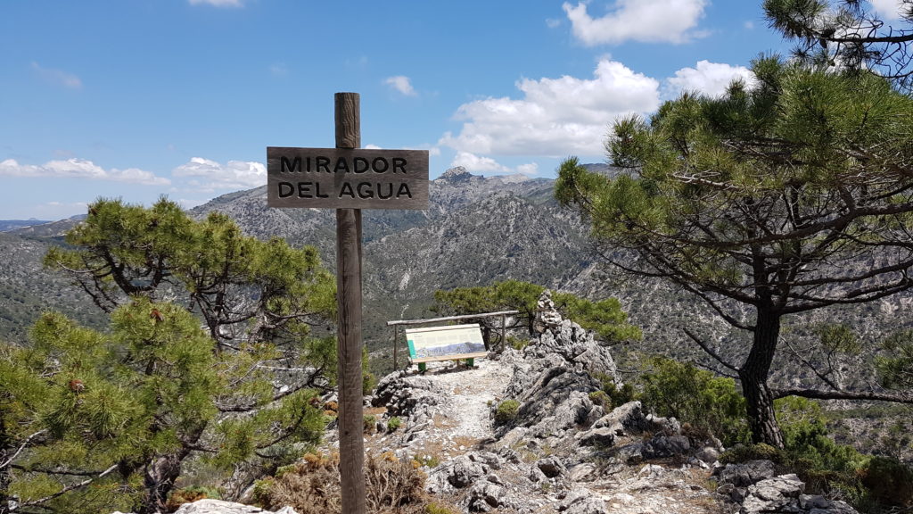 Ruta al Cerro del Lucero