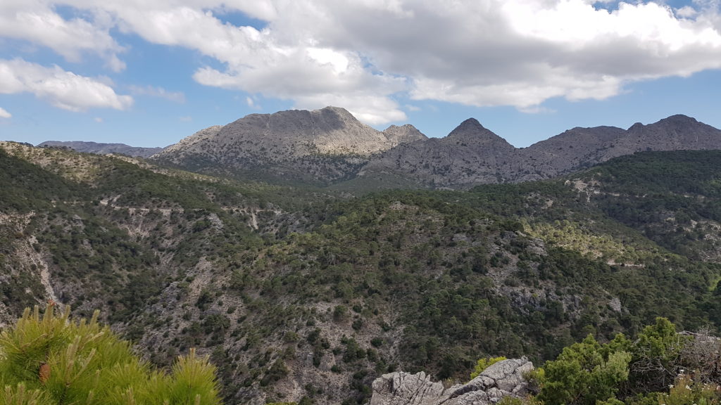 Ruta al Cerro del Lucero