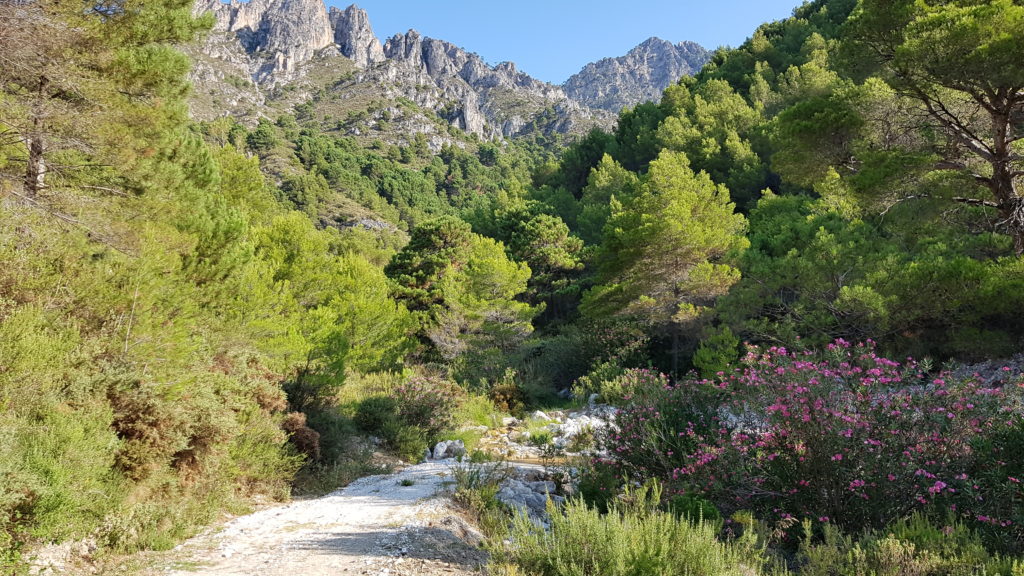 Ruta al Cerro Cisne