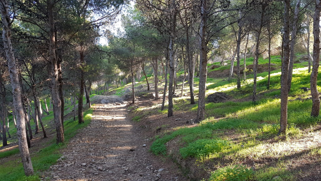 Trekking Málaga City