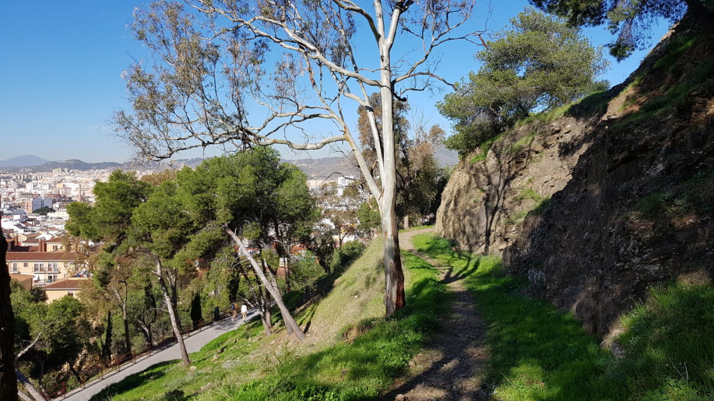 Trekking Málaga City