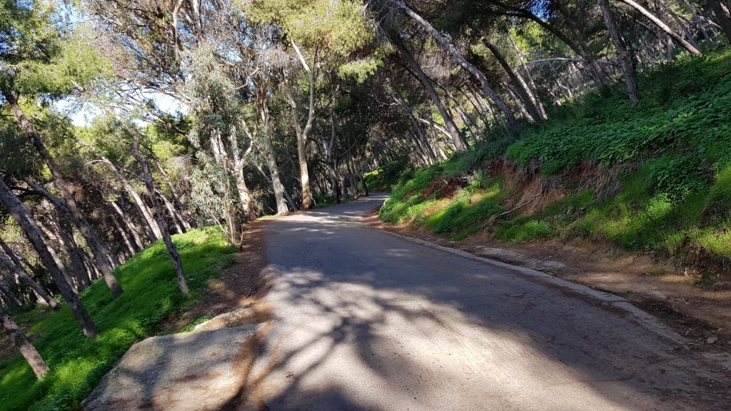 Trekking Málaga City