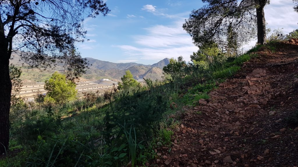 Trekking Málaga City