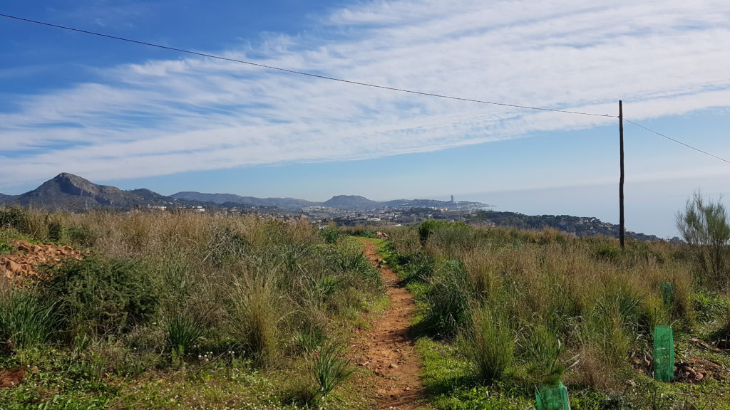 Trekking Málaga City