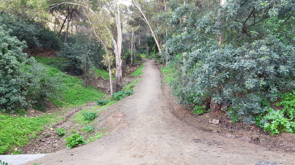 Trekking Málaga City