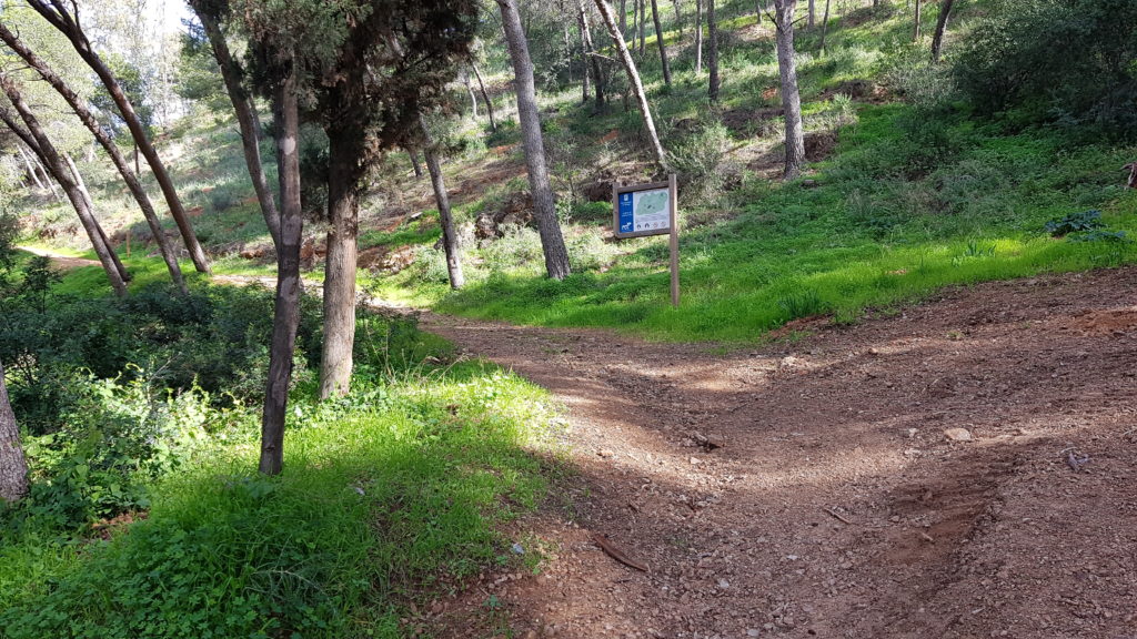 Trekking Málaga City