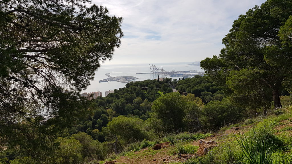Trekking Málaga City