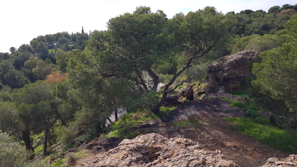 Trekking Málaga City