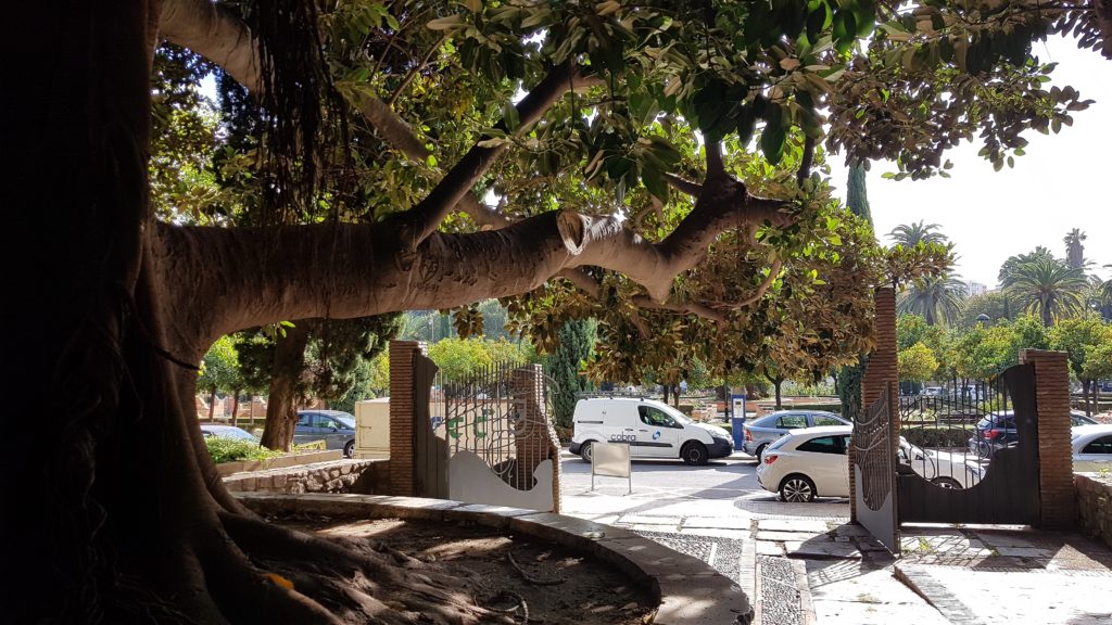 Trekking Málaga City