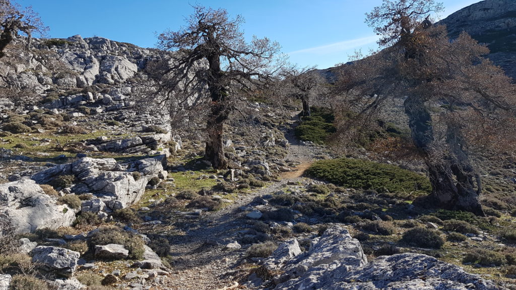 Ruta al Pico Torrecilla
