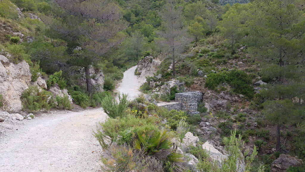 Ruta del Pico Cielo