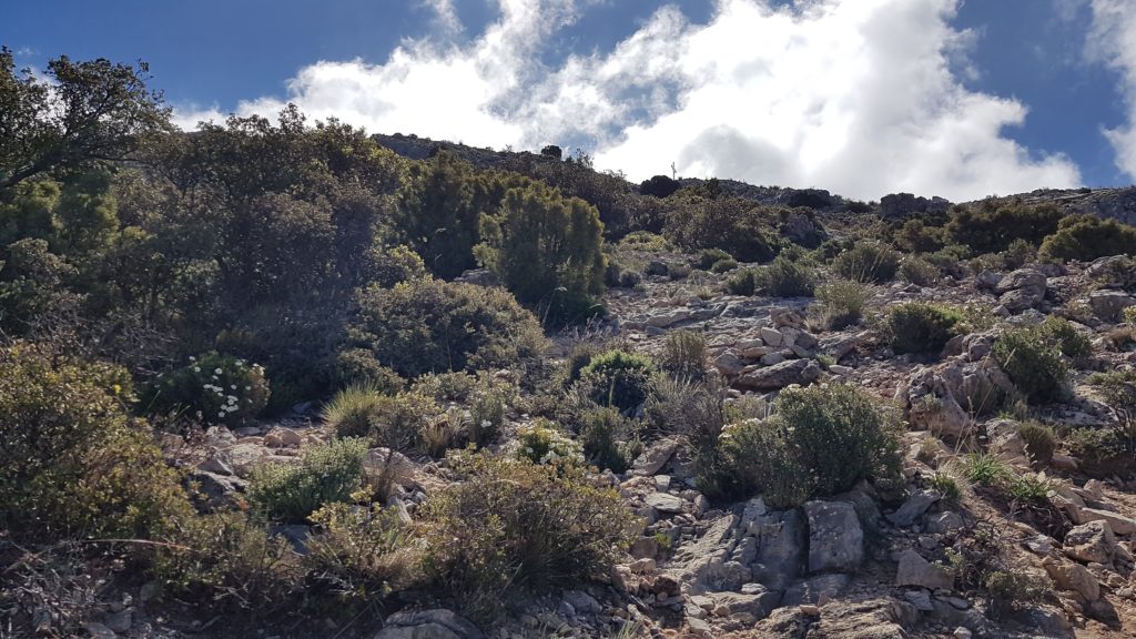 Ruta del Pico Cielo