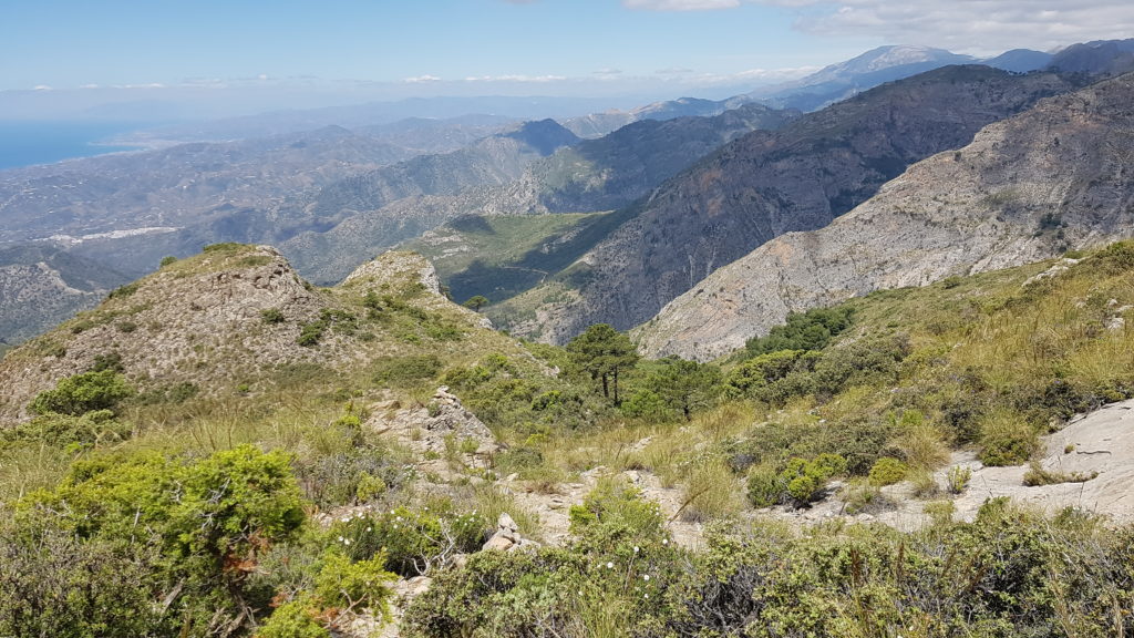 Ruta del Pico Cielo