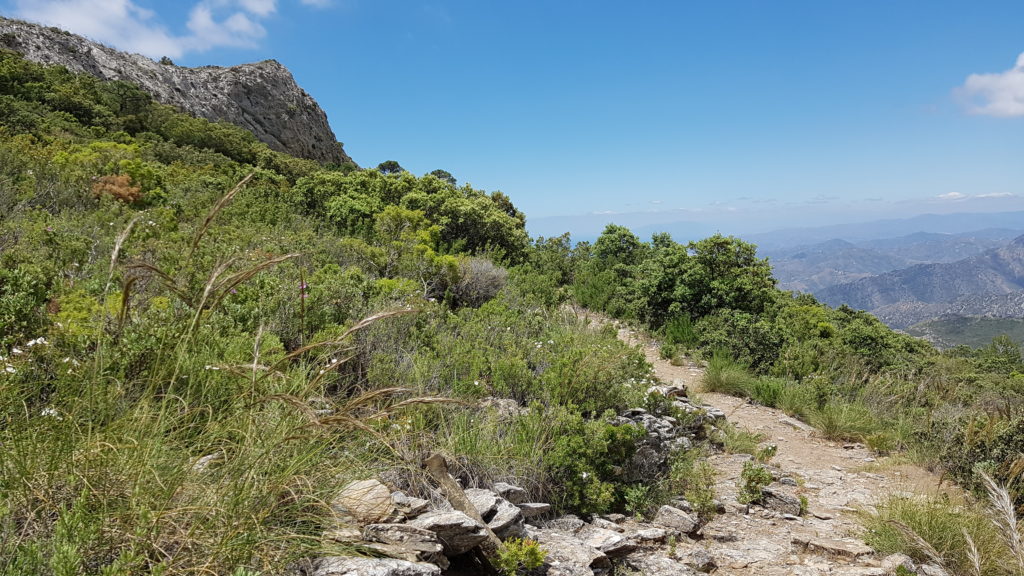 Ruta del Pico Cielo