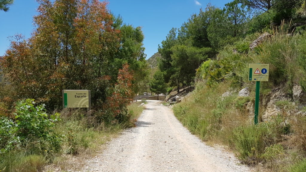 Ruta del Pico Cielo