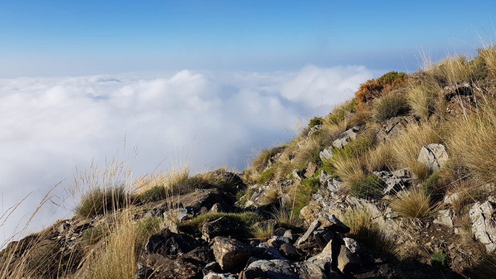 Ruta la Maroma y Almanchares