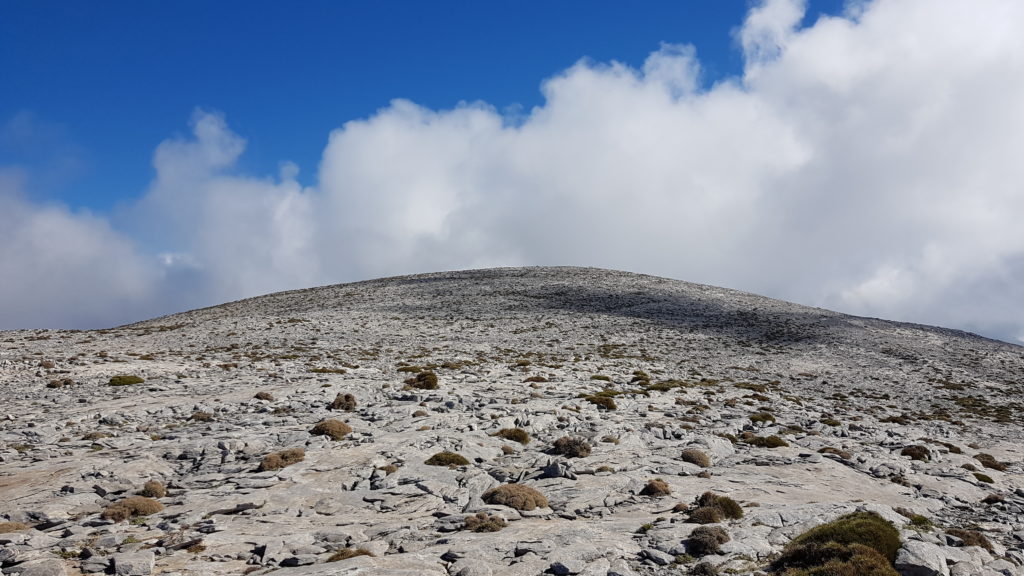 Ruta la Maroma y Almanchares