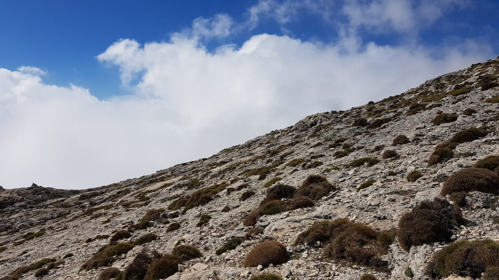 Ruta la Maroma y Almanchares