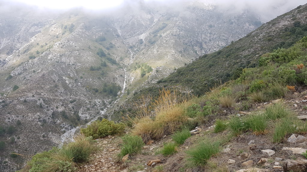 Ruta la Maroma y Almanchares