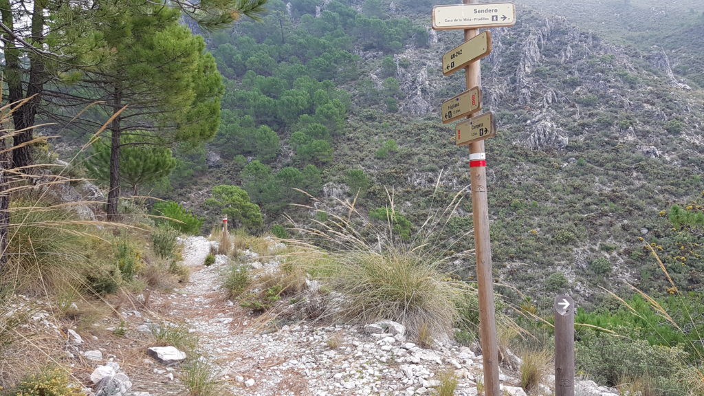 Lucero por Vereda de Cómpeta