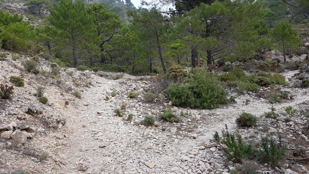 Lucero por Vereda de Cómpeta