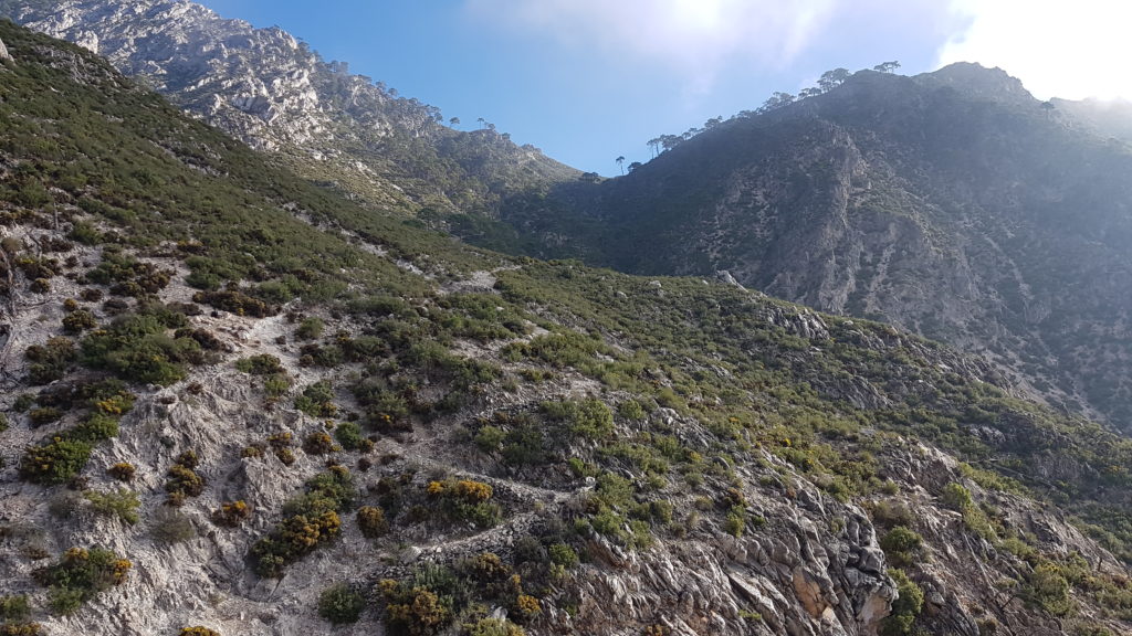 Lucero por Vereda de Cómpeta