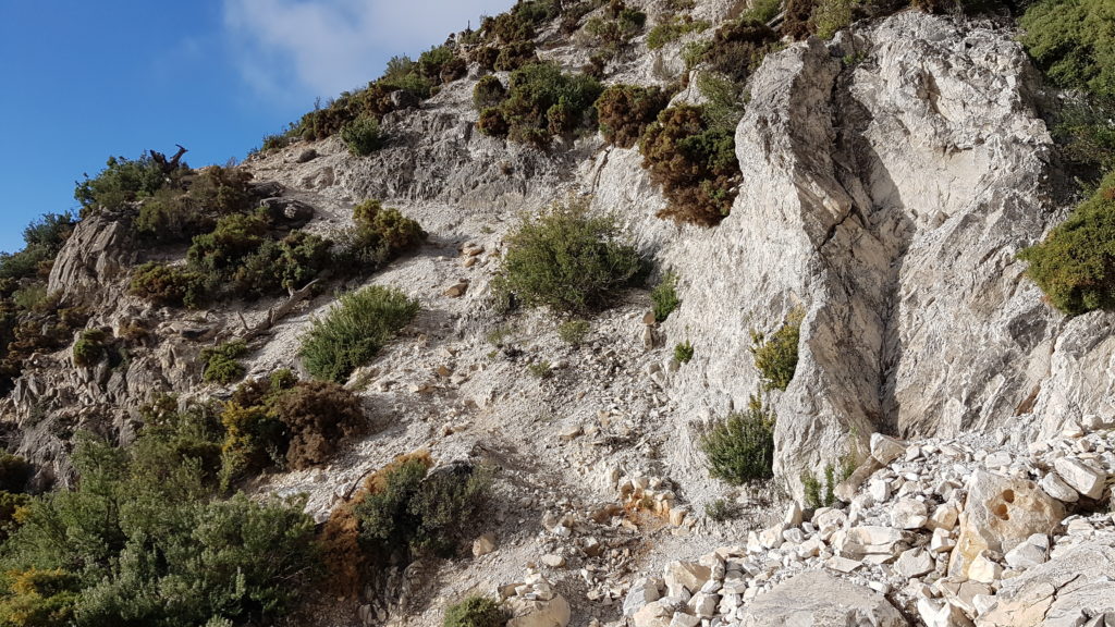 Lucero por Vereda de Cómpeta