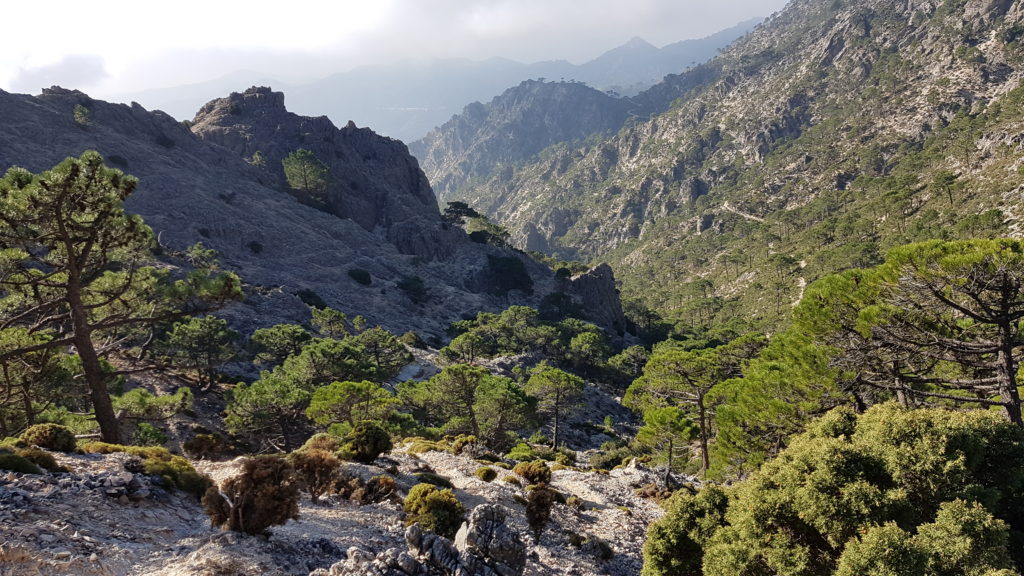 Lucero por Vereda de Cómpeta