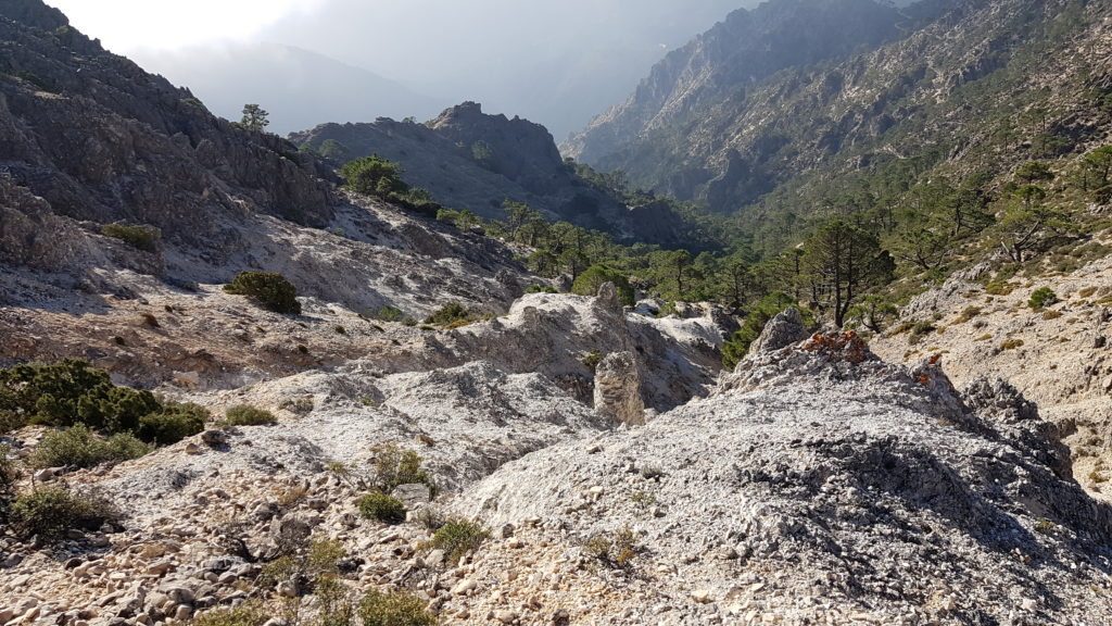 Lucero por Vereda de Cómpeta