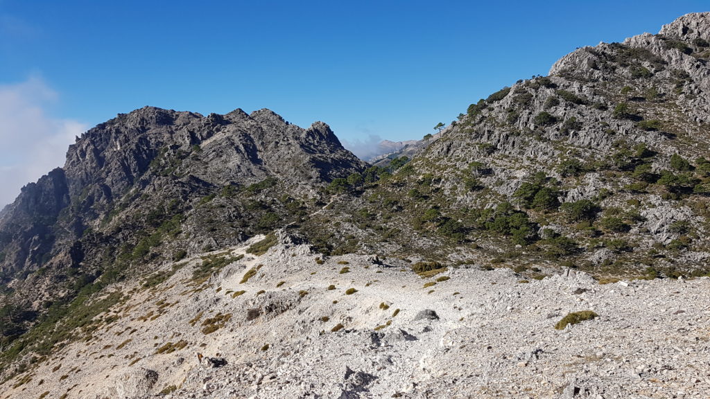 Lucero por Vereda de Cómpeta