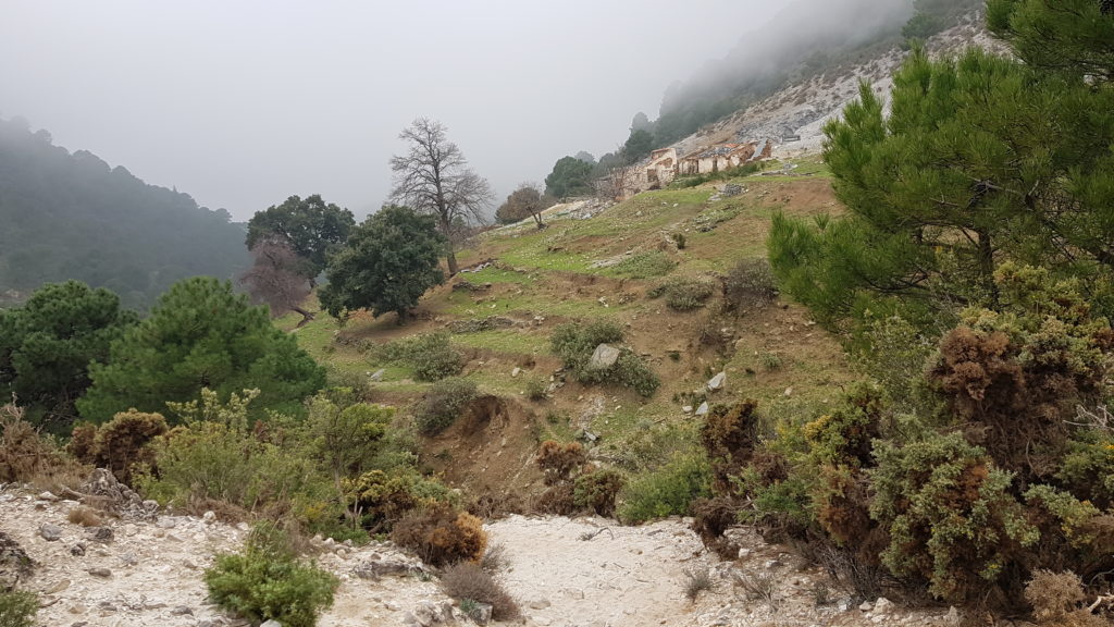 Lucero por Vereda de Cómpeta