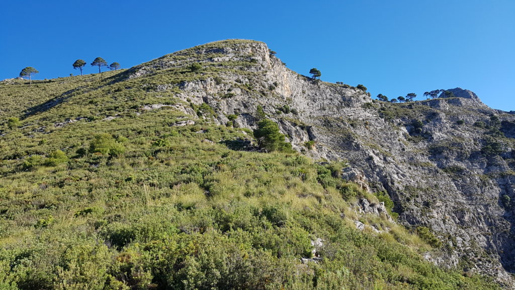 Collado de las Terrizas