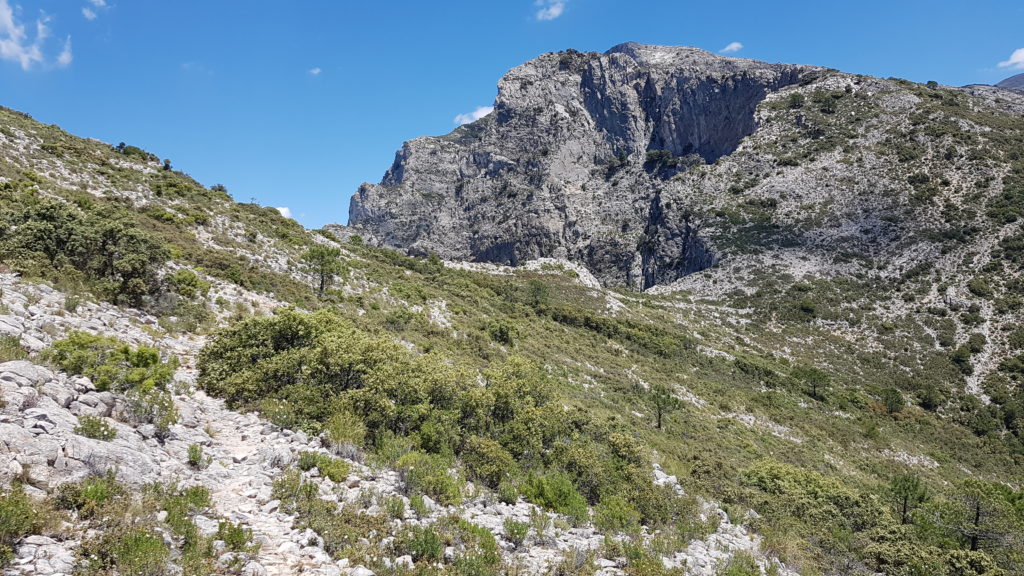 Hacia el Nido del Buitre y el Navachica 