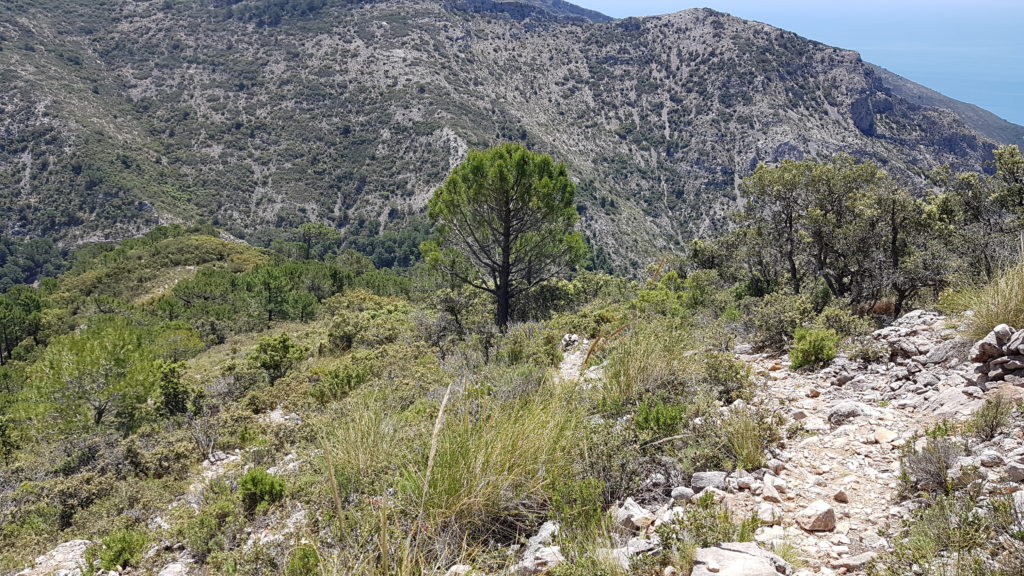 Sendero al Barranco de Cazadores