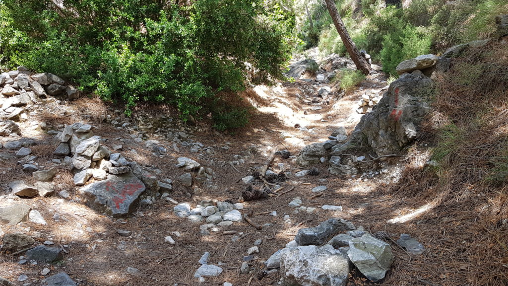 Cruce con Barranco de Cazadores 