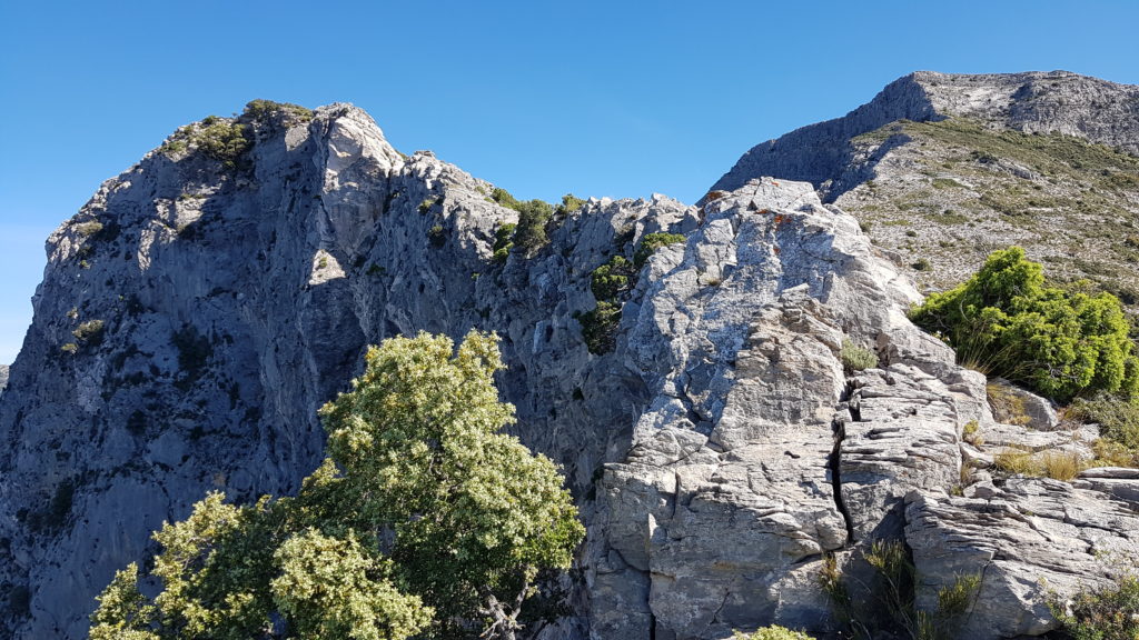 Cortados verticales previos al Nido del Buitre