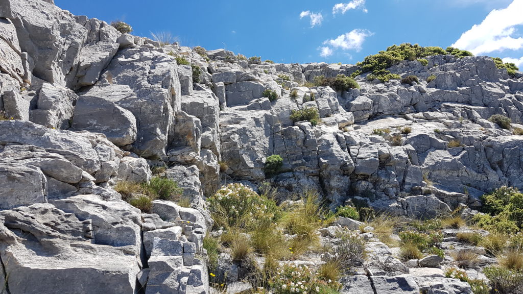 Última trepada. Vista desde abajo