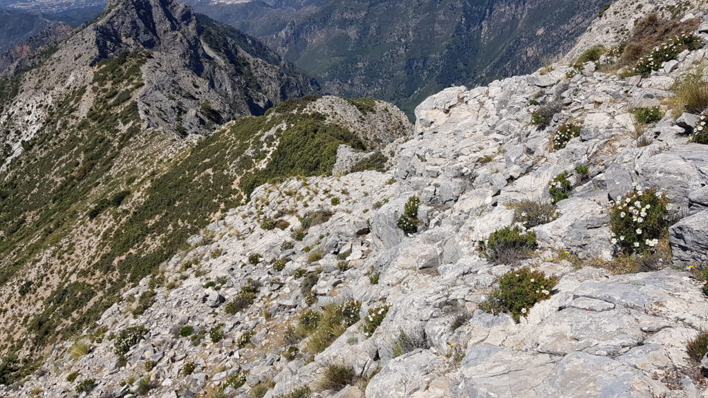 Última trepada. Vista desde arriba