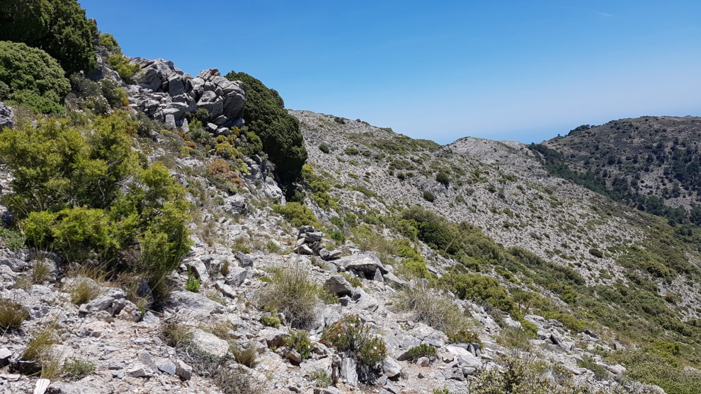 Circular Tajos del Sol y Navachica. Loma de los Pelados