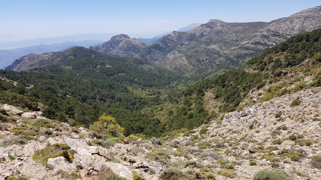 Puerto de Arriba. Vertiente malagueña