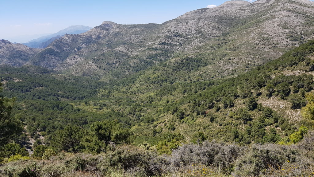 Atravesando el Cerro del Barco