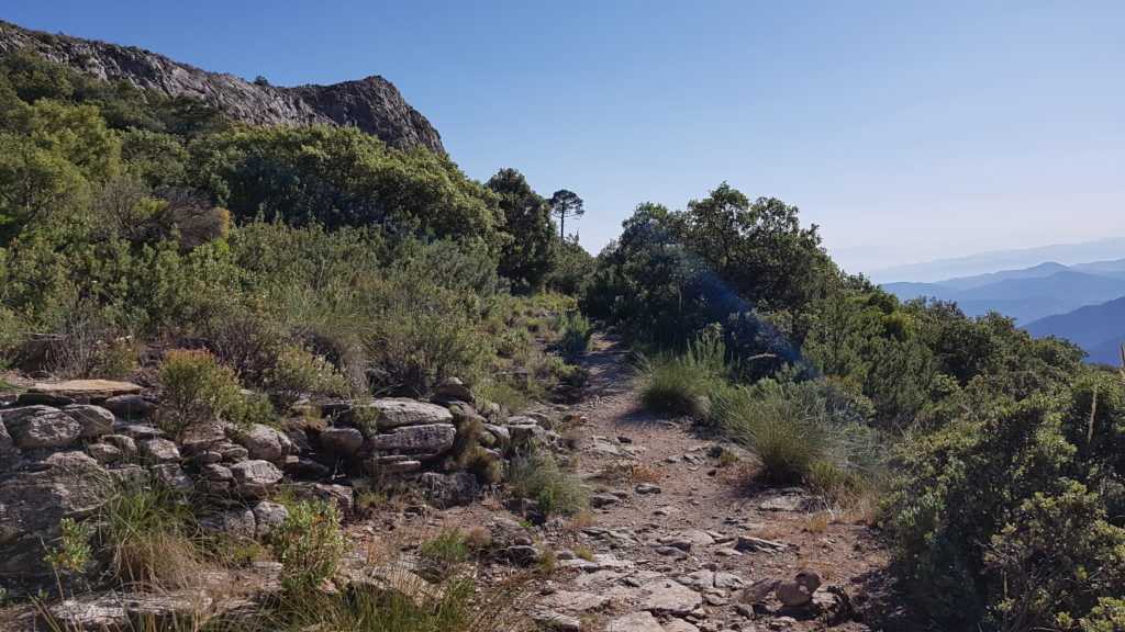 Circular Tajos del Sol y Navachica. Cuesta de la Medialuna. Camino de descenso