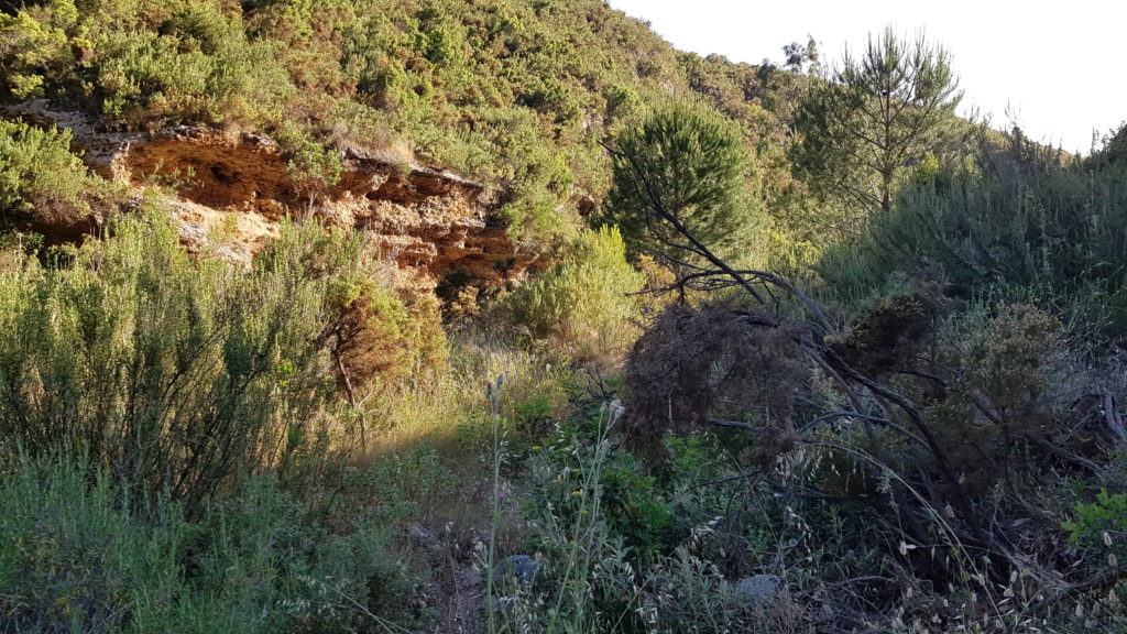 Barranco de las Higueras